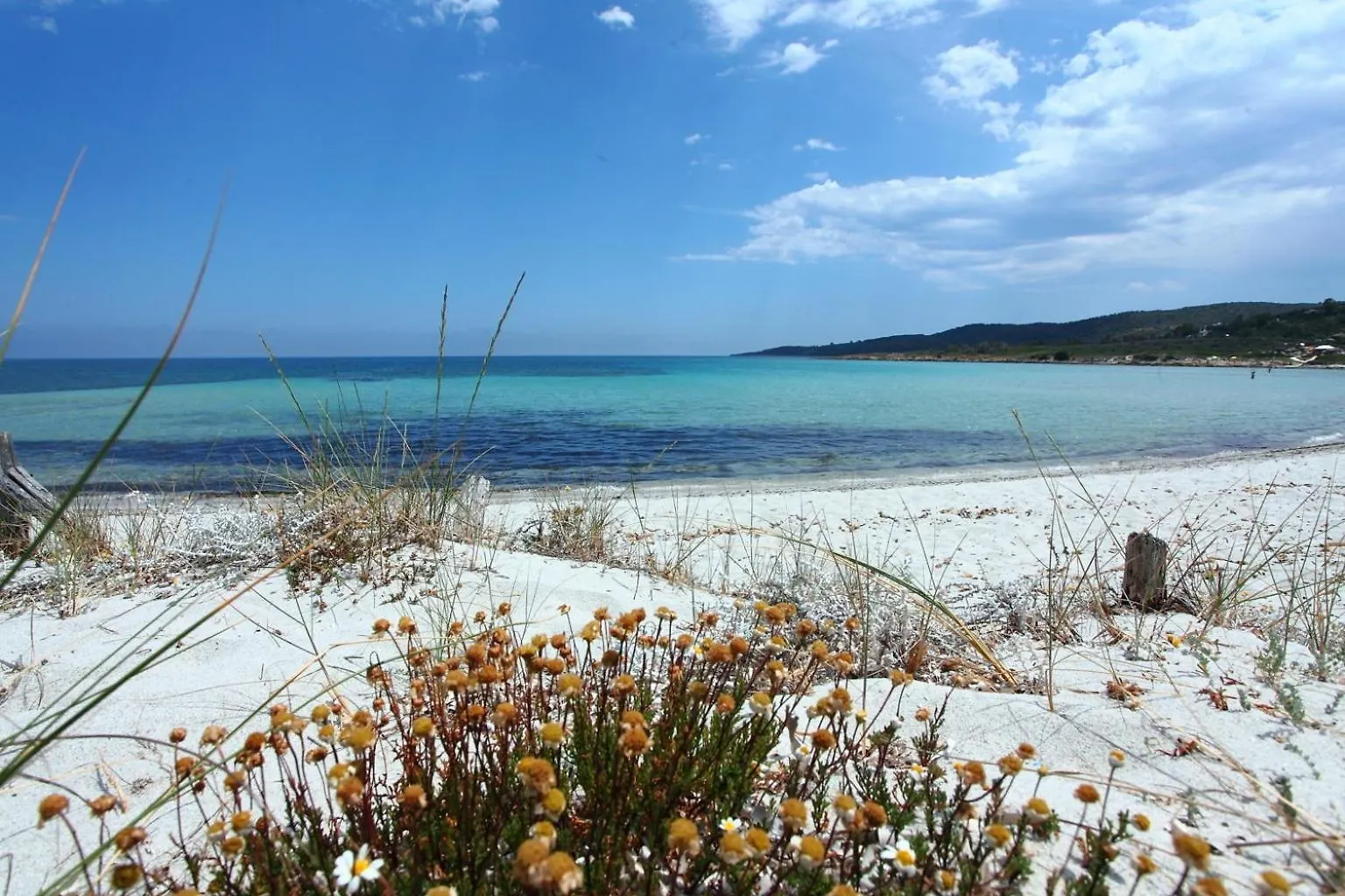Semesterbostad Maestrale Flat - Klodge Olbia